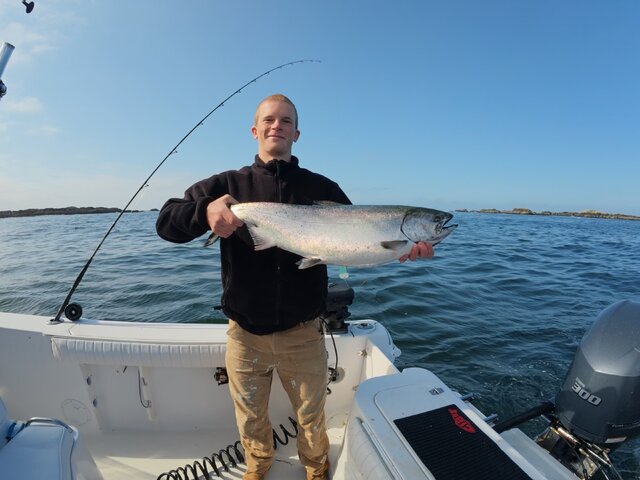 Listing image 1220543