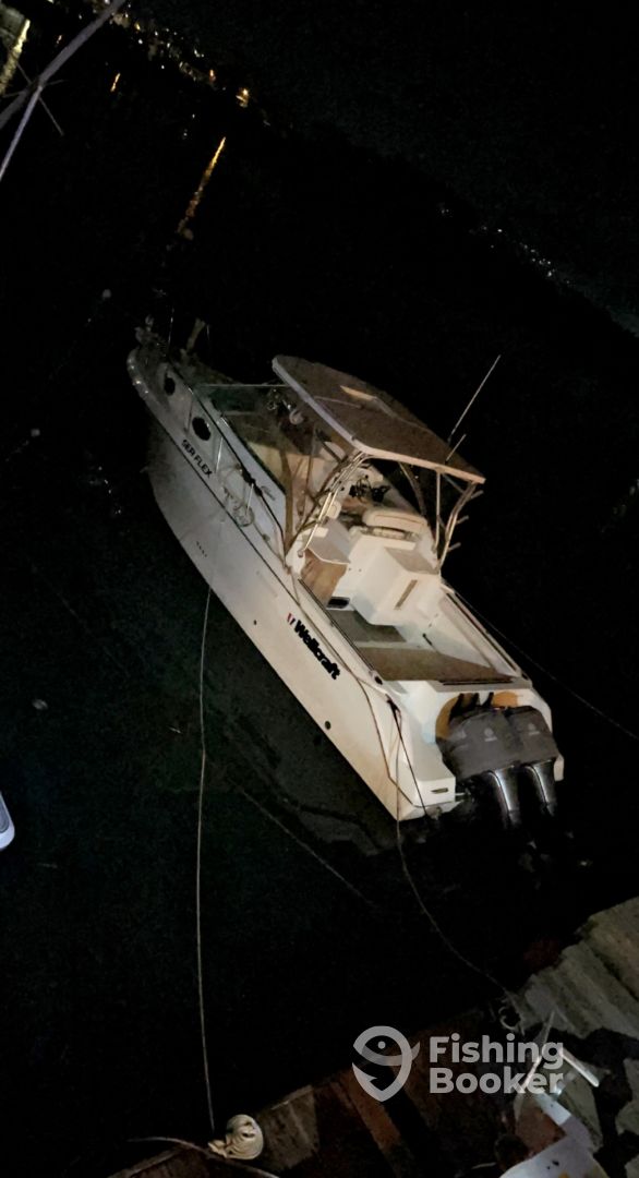Boat image