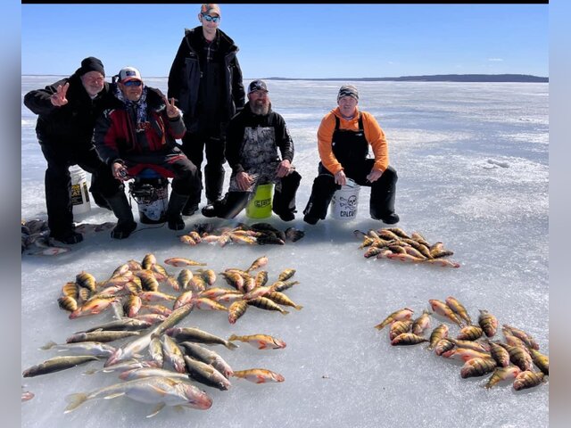 Listing image 1119121