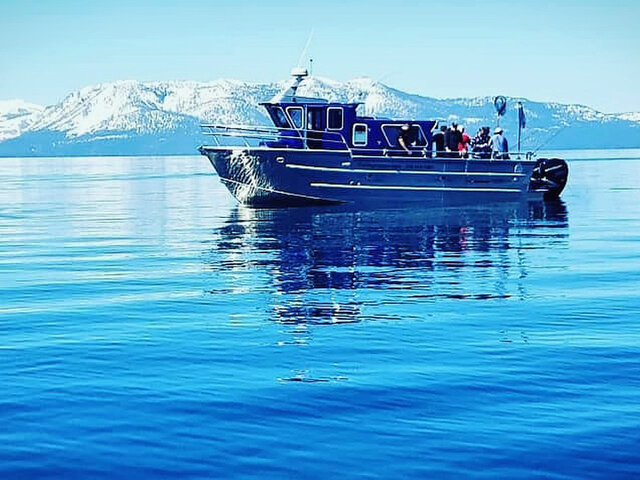 Listing image 1119818