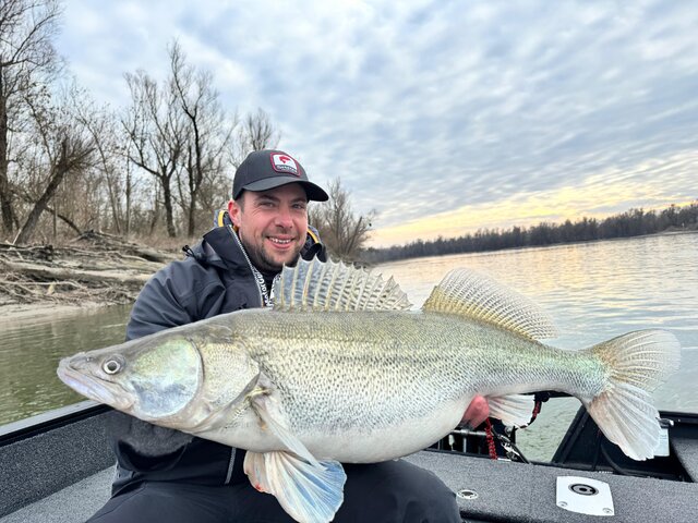 Listing image 1201595