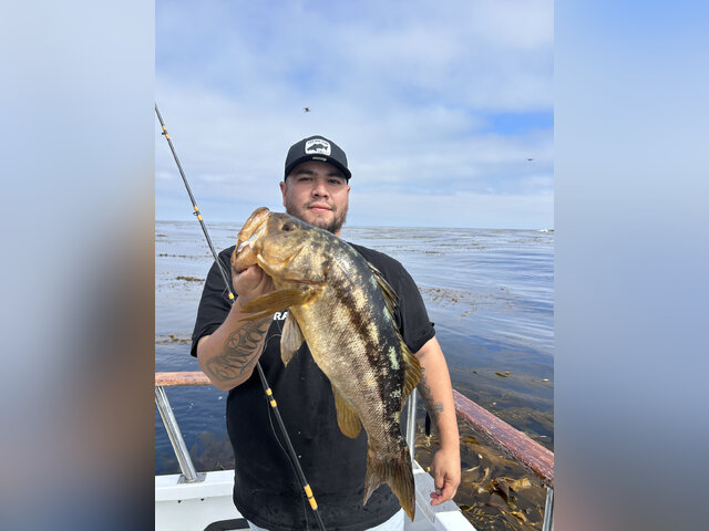 Listing image 1120411