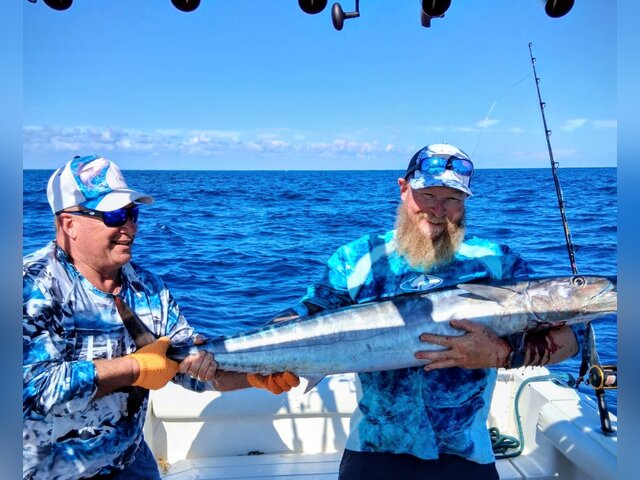 Listing image 1287498