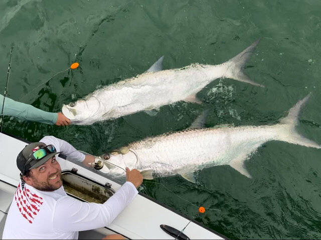 Listing image 1121178