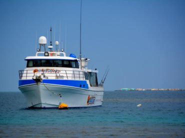 Blue Water Adventure Charters