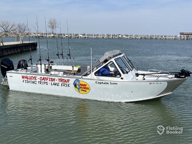 Listing image 1161333