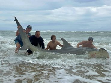 Land Based Shark Fishing LISHARKMAN