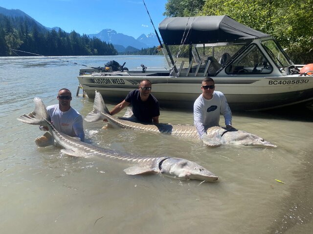 Listing image 1123904