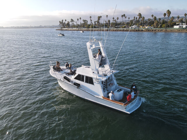 Listing image 1124624