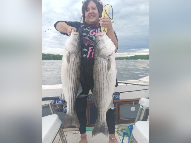 Listing image 1281835