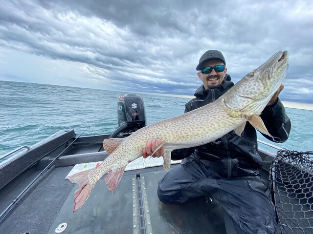 Listing image 1161344