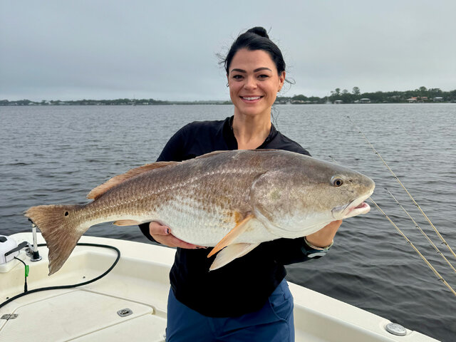 Listing image 1145005