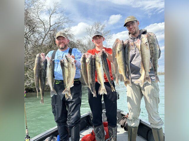 Listing image 1128382