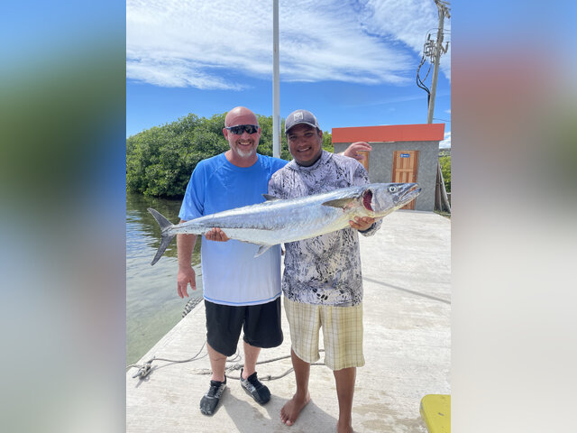 Listing image 1131285