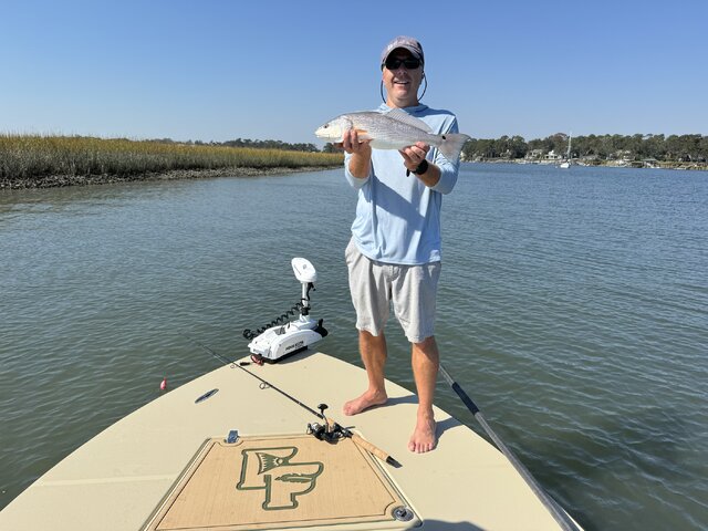 Listing image 1132208