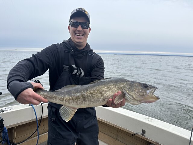 Listing image 1132219