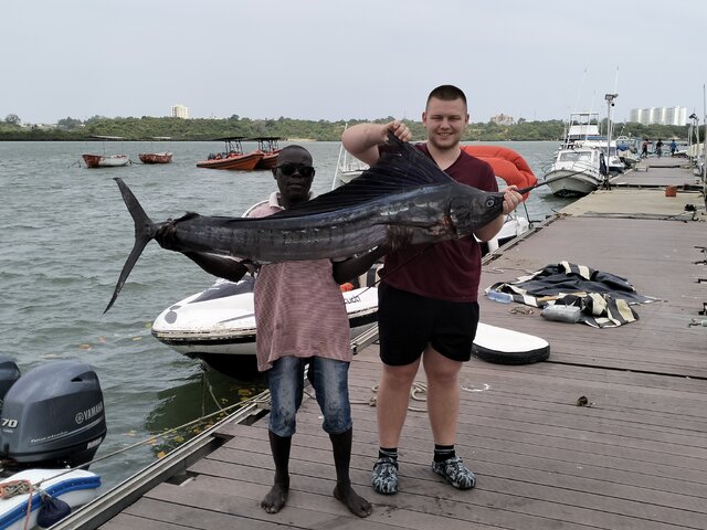 Listing image 1132392