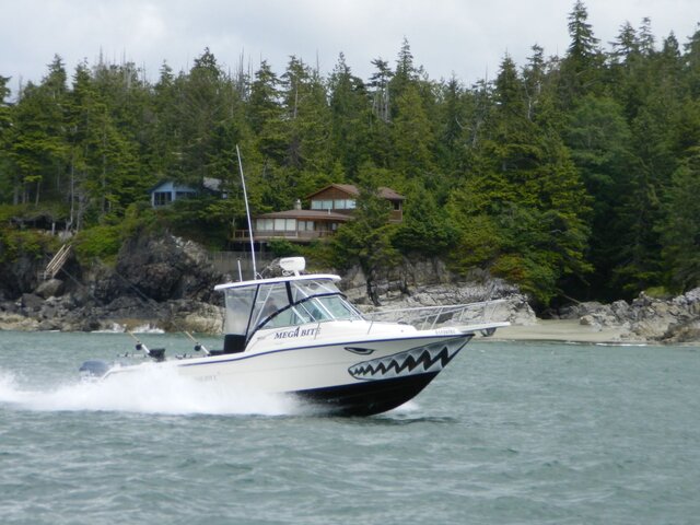 Listing image 1132412