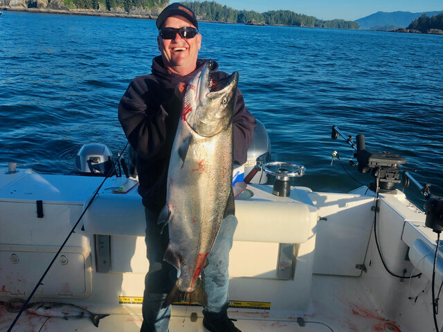 Listing image 1136652