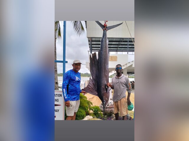 Listing image 1132824