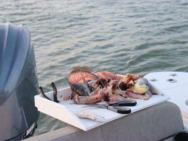 Listing image 1213951