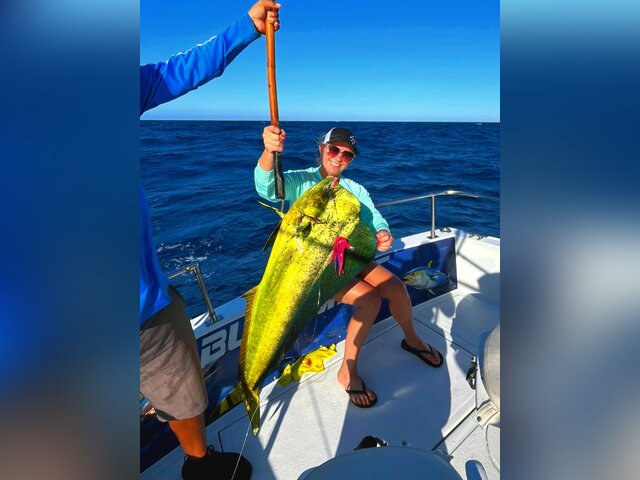 Listing image 1263934