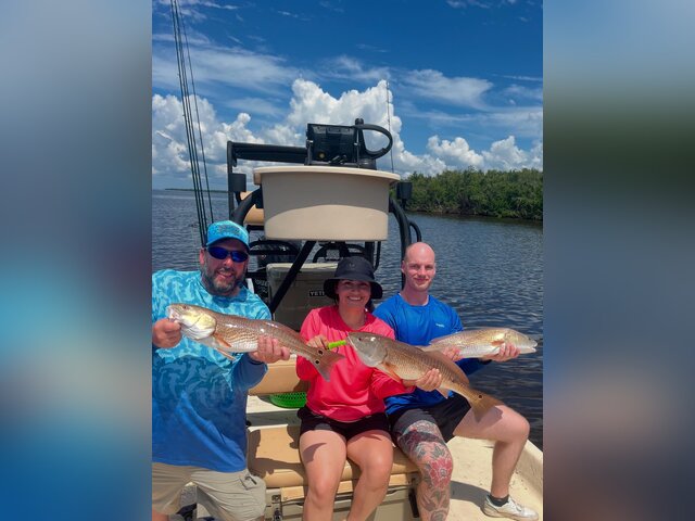 Listing image 1236054