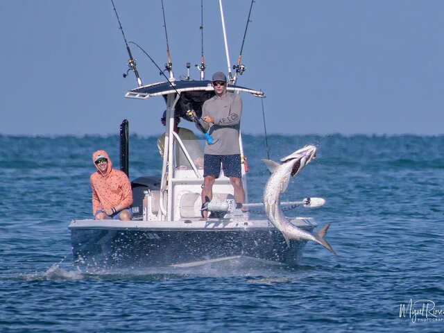 Listing image 1133819