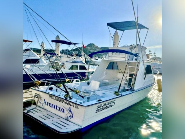 Listing image 1378417