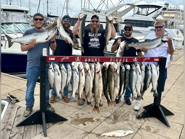 Listing image 1134028