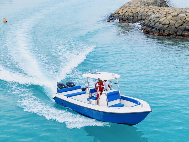 Listing image 1137776