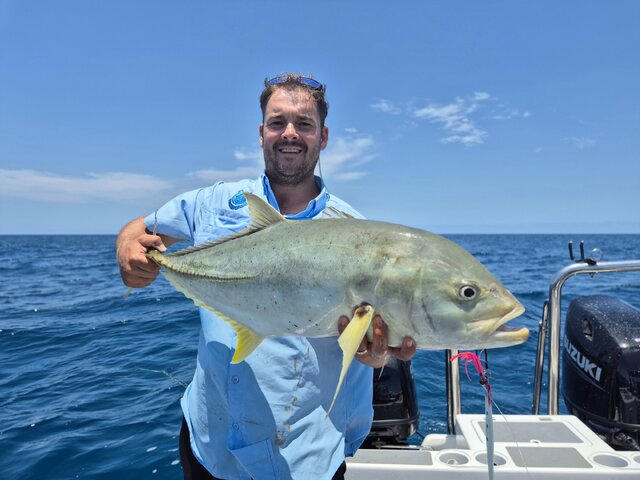 Listing image 1134178