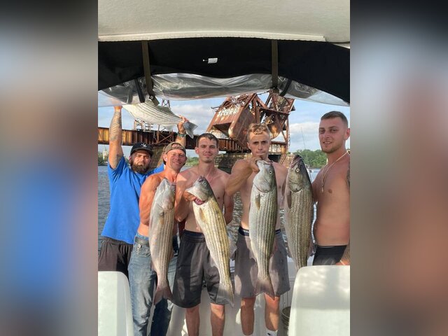 Listing image 1134254