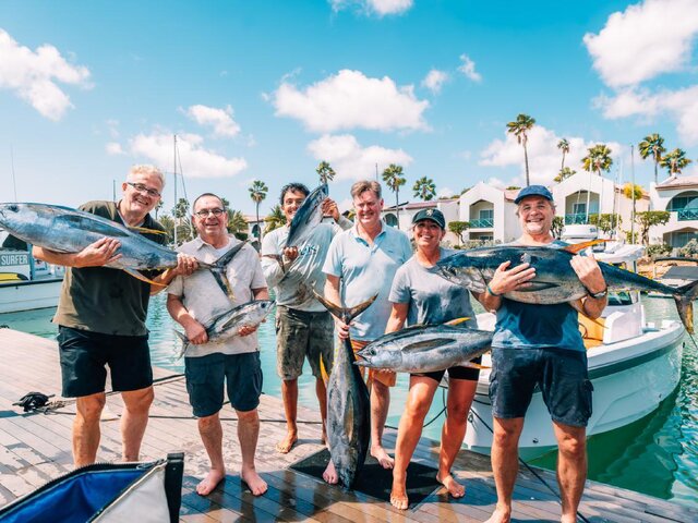 Listing image 1284512