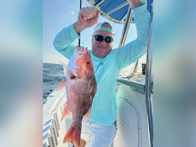 Listing image 1134521