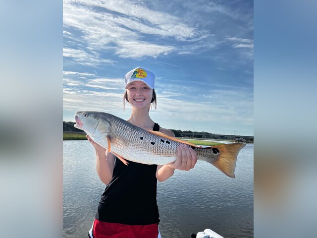 Listing image 1134602