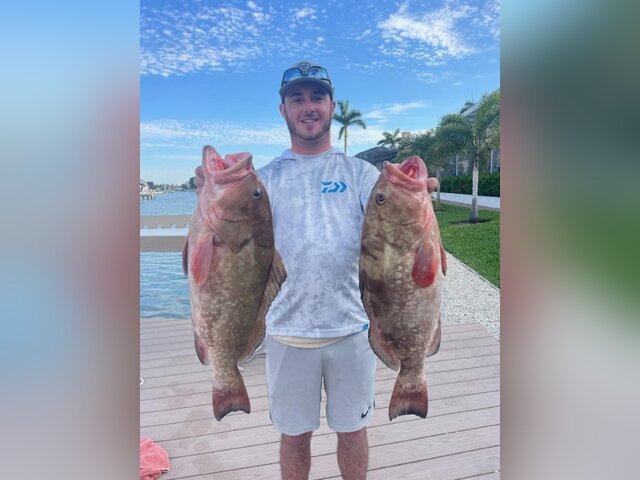 Listing image 1149008