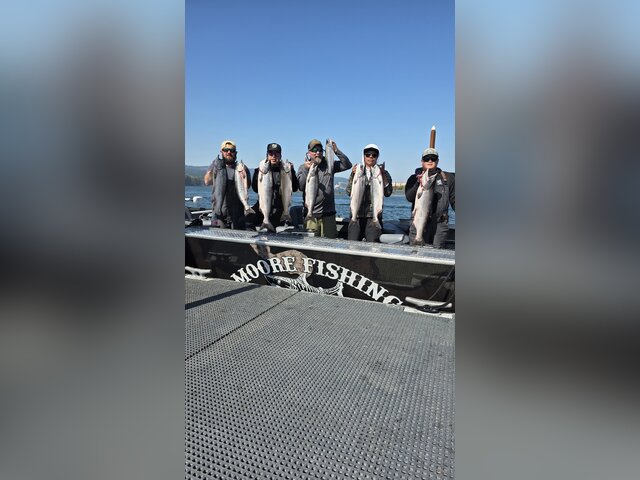 Listing image 1252701