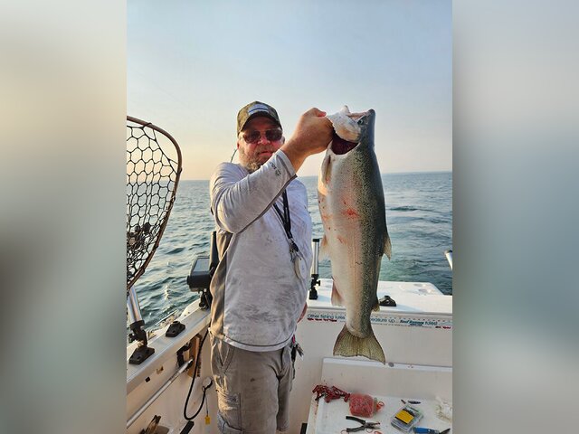 Listing image 1176338