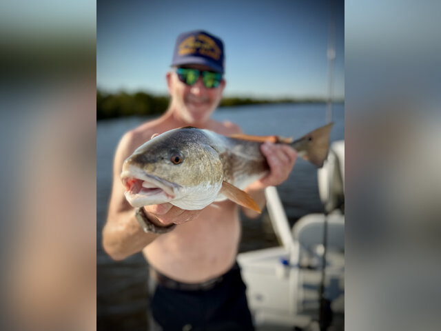 Listing image 1268493