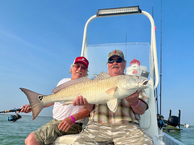 Listing image 1142791