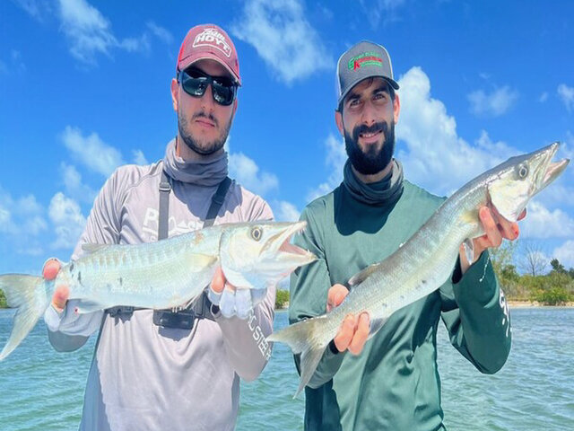 Listing image 1144933