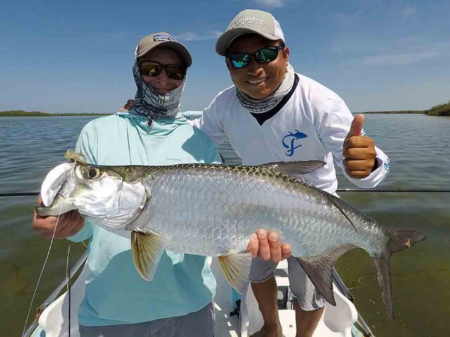 Listing image 1136830