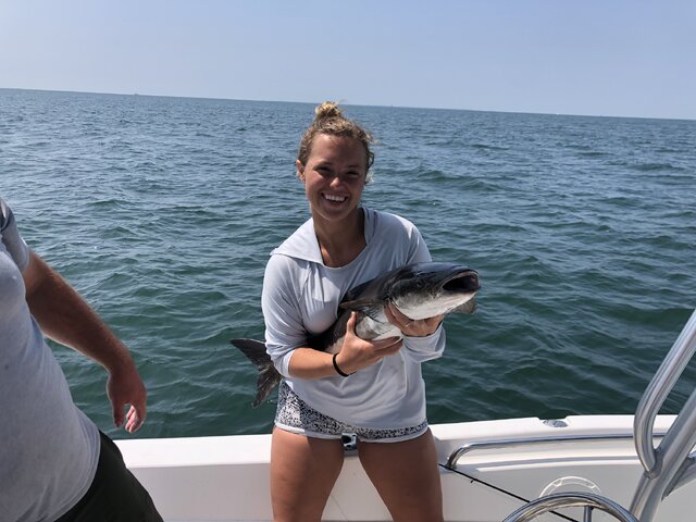 Listing image 1142484