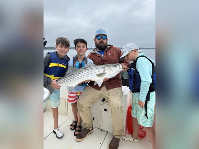 Listing image 1217678