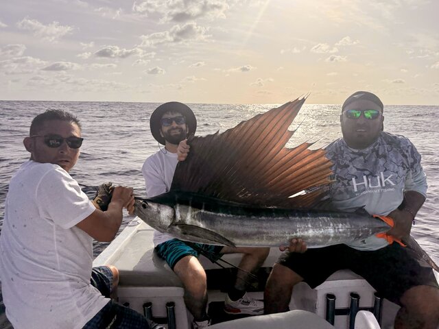 Listing image 1160531