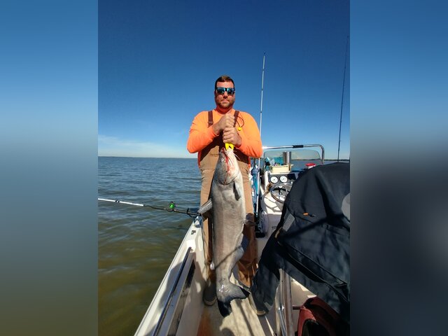 Listing image 1137820