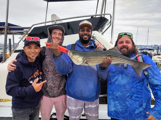 Listing image 1139209