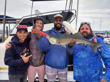 Lucy B Charters thumbnail