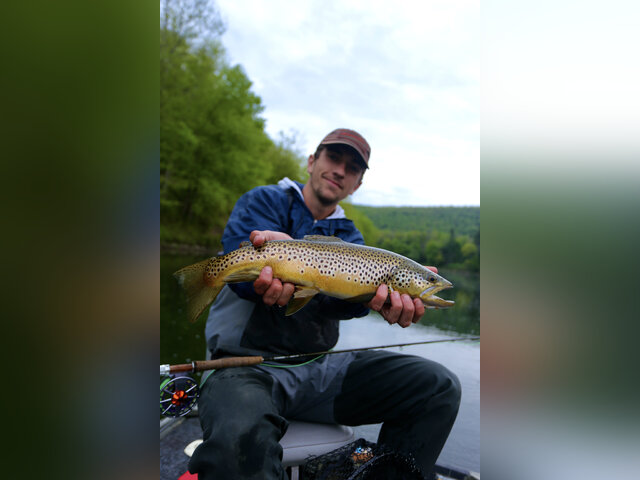 Listing image 1139427